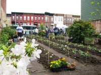 Urban farm in Brooklyn