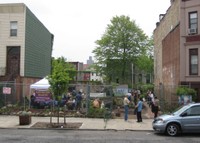 Urban farm in Brooklyn