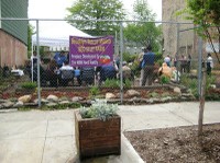 Urban farm in Brooklyn