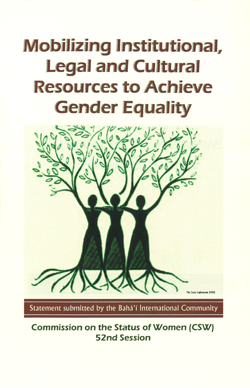 Mobilizing Institutional Legal and Cultural Resources to Achieve Gender Equality cover
