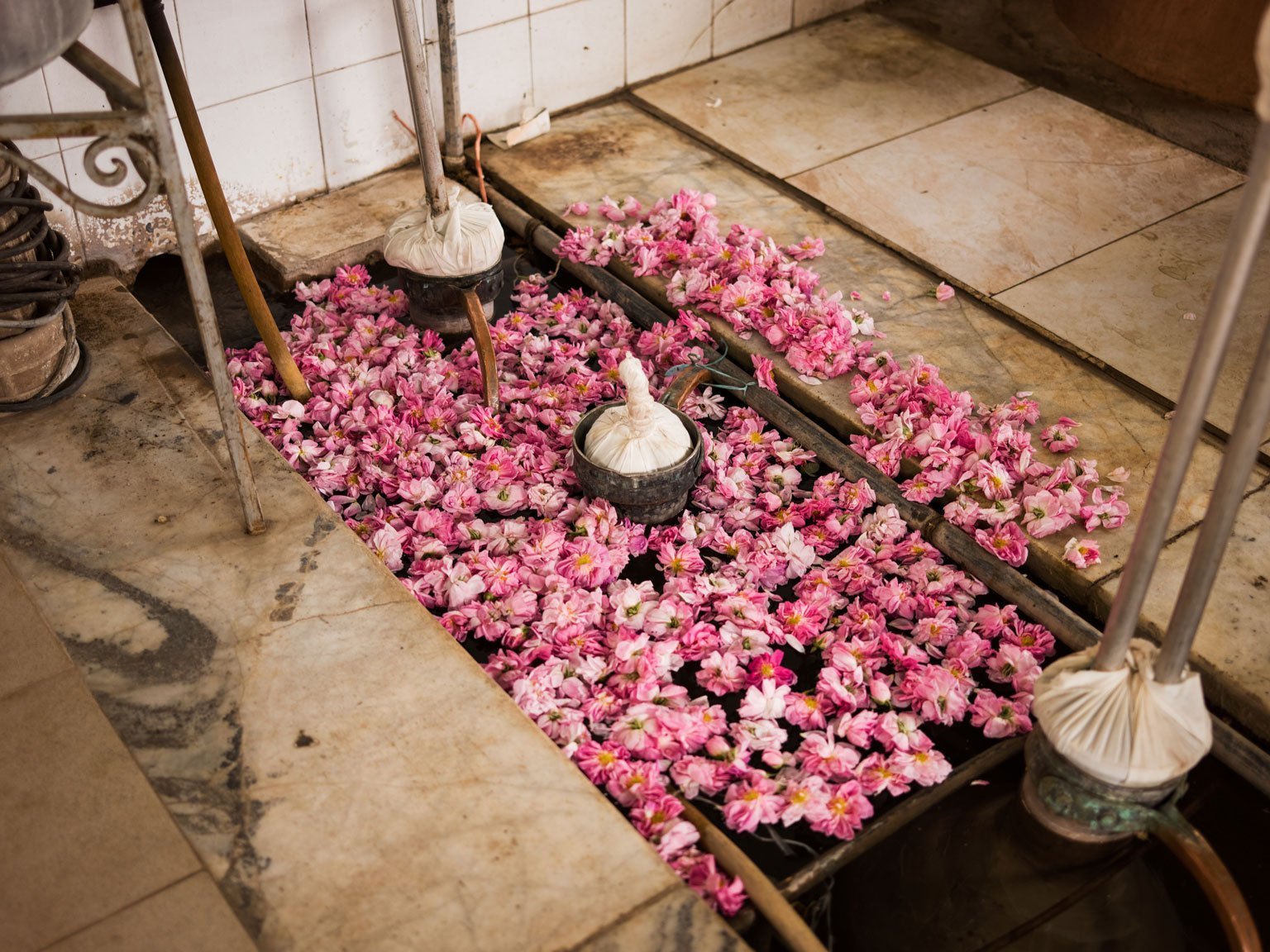 Rosewater is not a crime | Bahá’í International Community