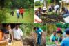 People engaged in different agricultural initiatives of Bahá’í communities in different countries.