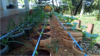 Photos of the various stages of the preparation and development of level in community-level projects initiated in Uganda to address the issue of food insecurity.