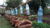 Photos of the various stages of the preparation and development of level in community-level projects initiated in Uganda to address the issue of food insecurity.