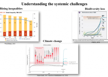 The authors of the report presented certain findings, including their understanding of the interaction between systemic challenges.