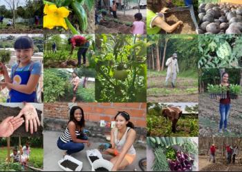 Since March, the Baha’i-inspired organization FUNDAEC has assisted over 1,500 people across Colombia to become engaged in almost 800 agricultural initiatives.