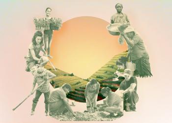 A gathering held by the Geneva Office of the BIC examined how knowledge generated by farmers can inform and strengthen international policies on food and agriculture.