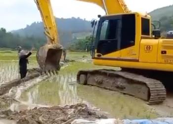 The destruction of Baha'i-owned rice fields in Iran is the latest example of the Iranian government’s policy of confiscating and destroying Baha’i homes and farms.