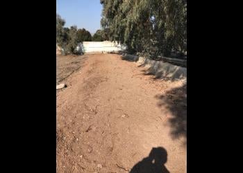 More than 30 graves of deceased Baha’is at a Tehran mass grave have been razed this week by the Iranian authorities, with grave markers removed, and bulldozers used to flatten the resting places