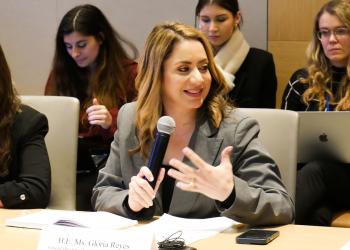 Ambassadors and civil society representatives at a CSocD side event
