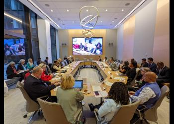 In-person and online attendees at “Participation and Representation: Better Connecting ‘We the Peoples’ to the Multilateral System”