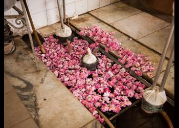 Iranian authorities have raided a number of Baha’i homes and warehouses in a village near Ghamsar and dismantled and removed containers used for making rosewater and other related equipment.