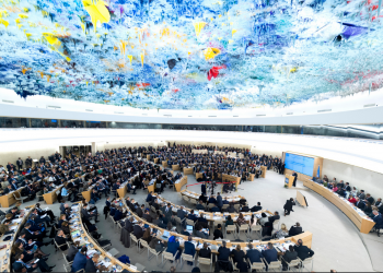 The UN Human Rights Council in Geneva (photo: United Nations Photo) 